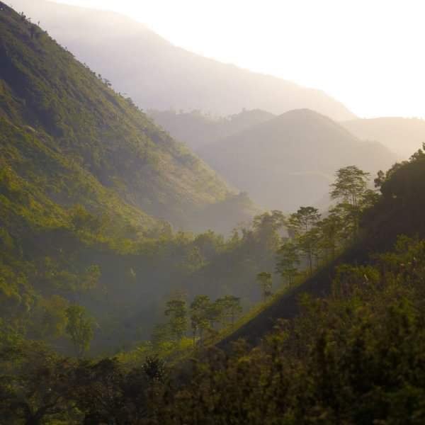 Pic Macaya National Park