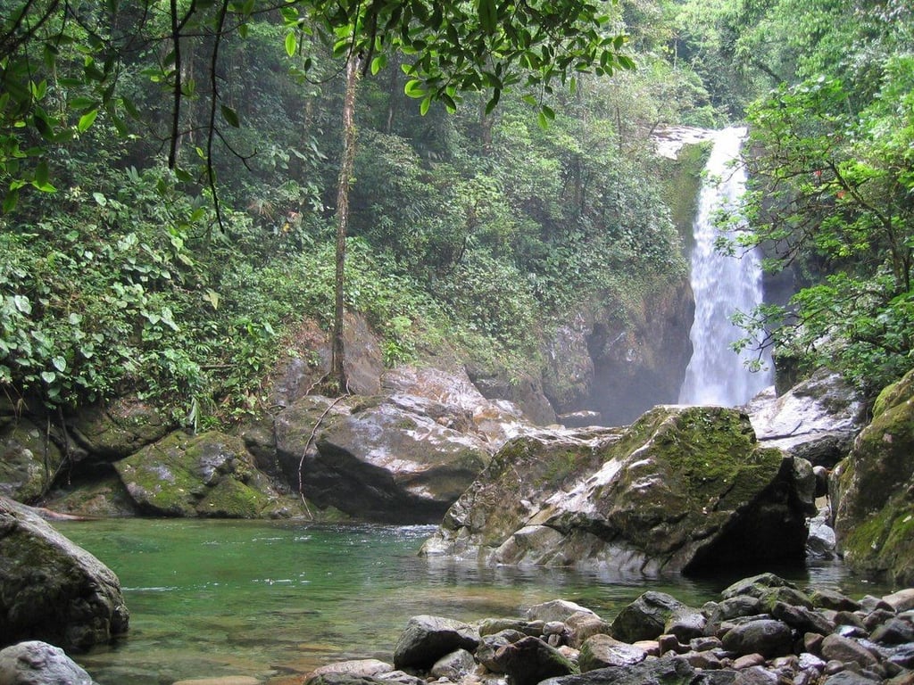 Pico Bonito National Park