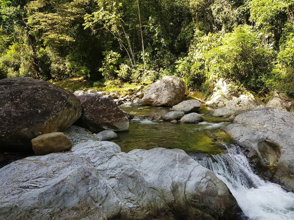 Pico Bonito National Park
