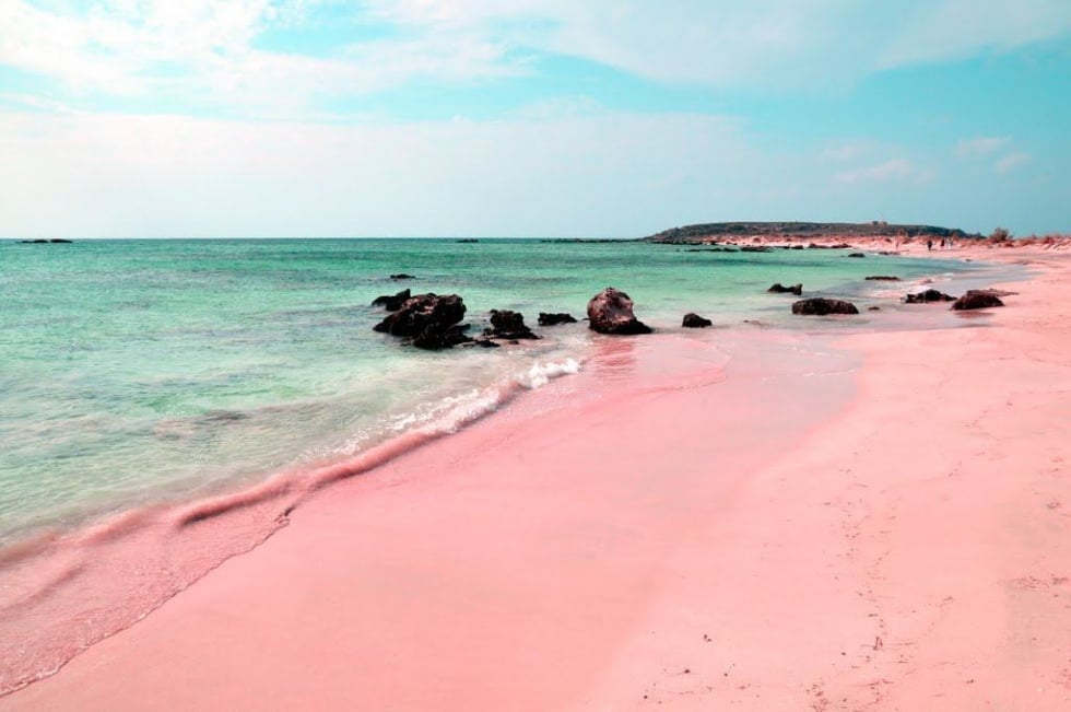 Pink Sands Beach