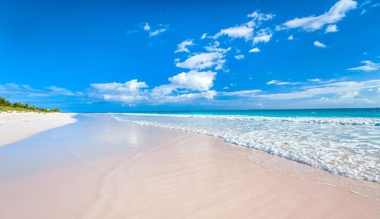 Pink Sands Beach