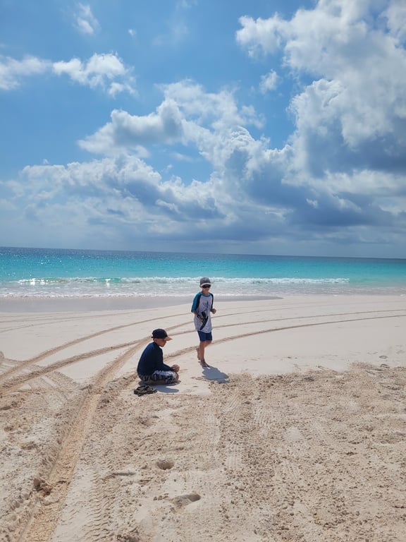 Pink Sands Beach
