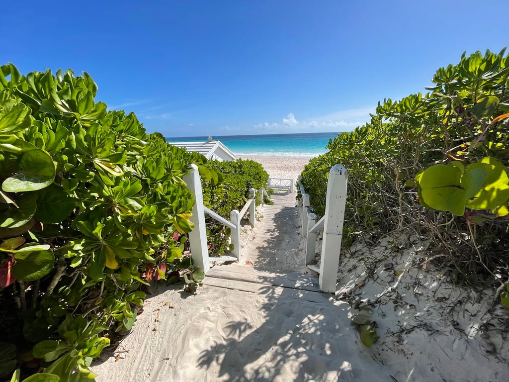 Pink Sands Beach