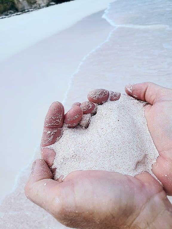 Pink Sands Beach