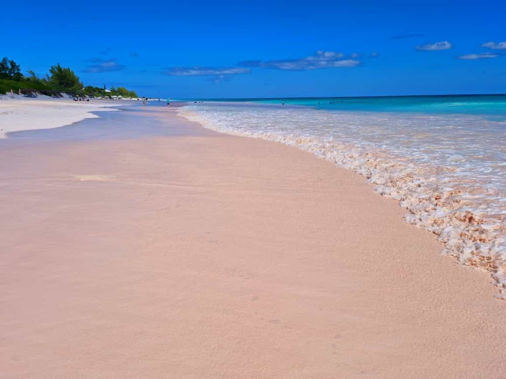 Pink Sands Beach