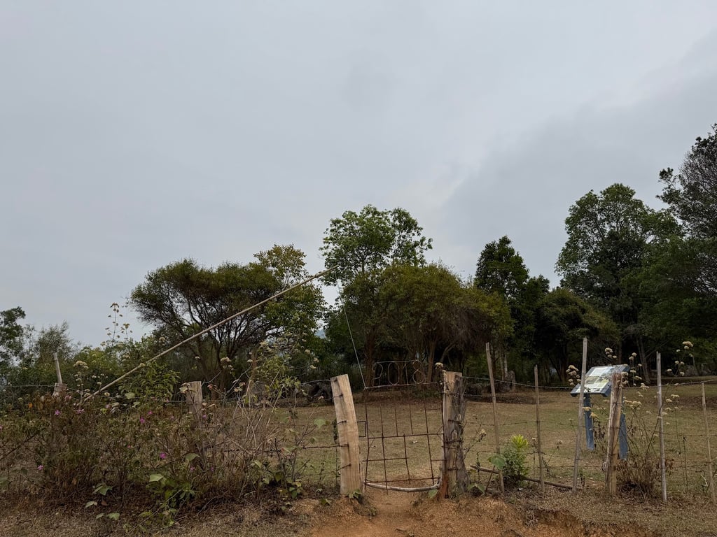 Plain of Jars