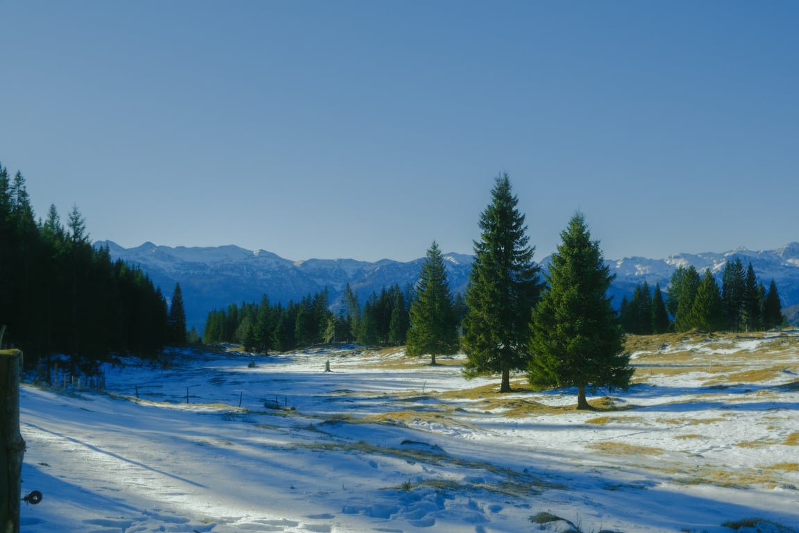Planina Zajamniki