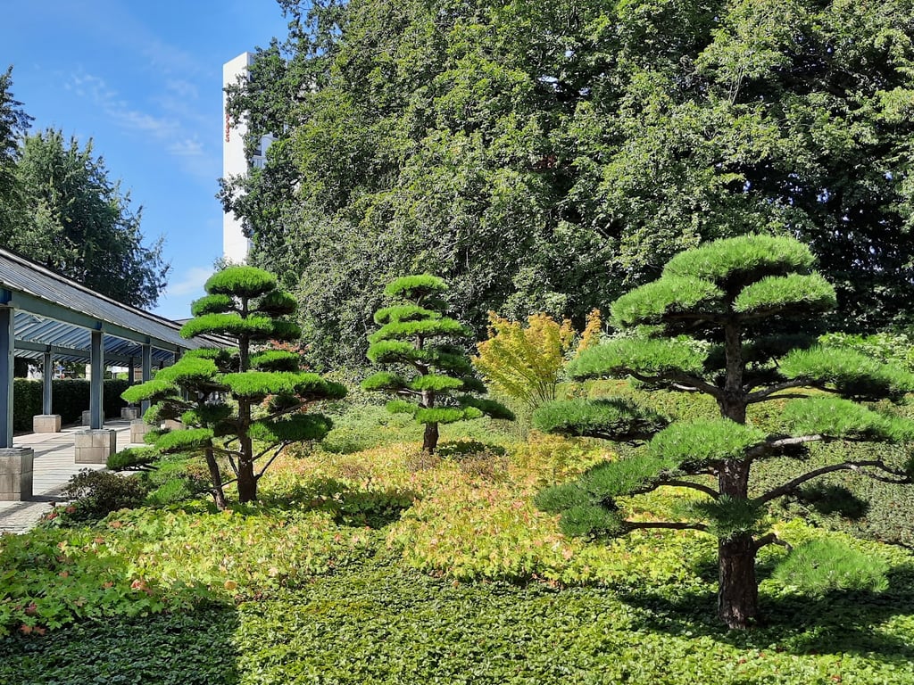 Planten un Blomen Park