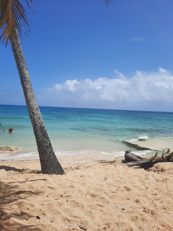 Playa Grande