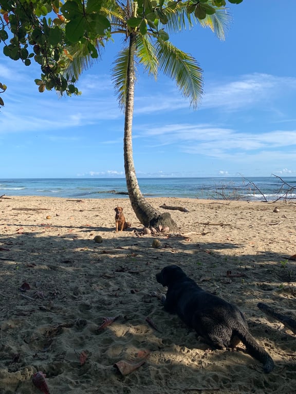 Playa Chiquita