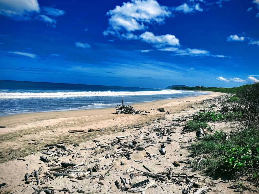 Playa Grande Turtle Spot