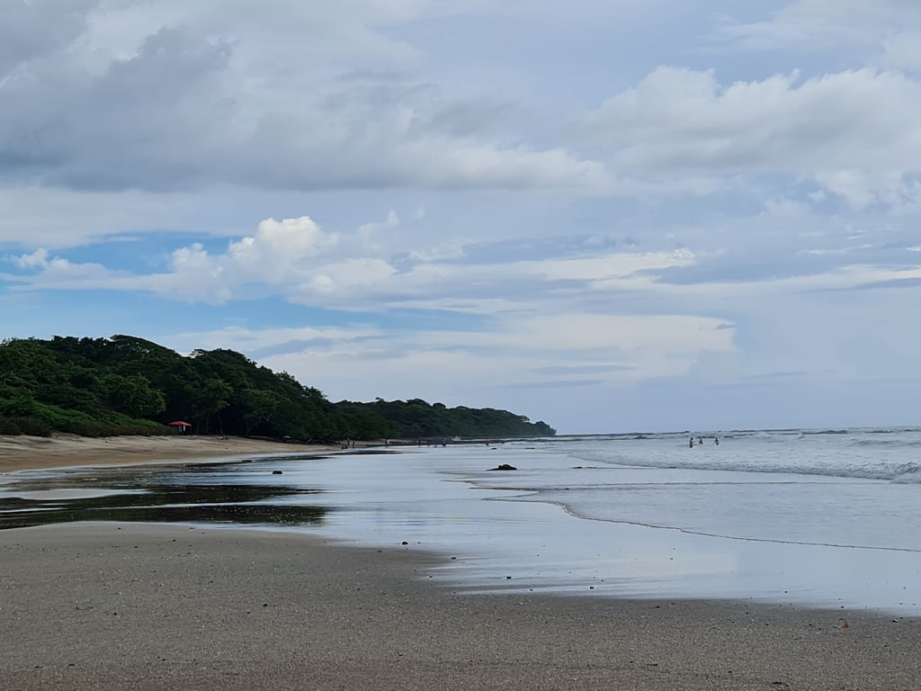 Playa Grande Turtle Spot
