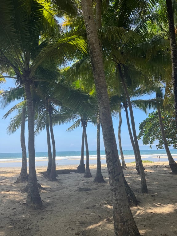 Playa Grande Turtle Spot