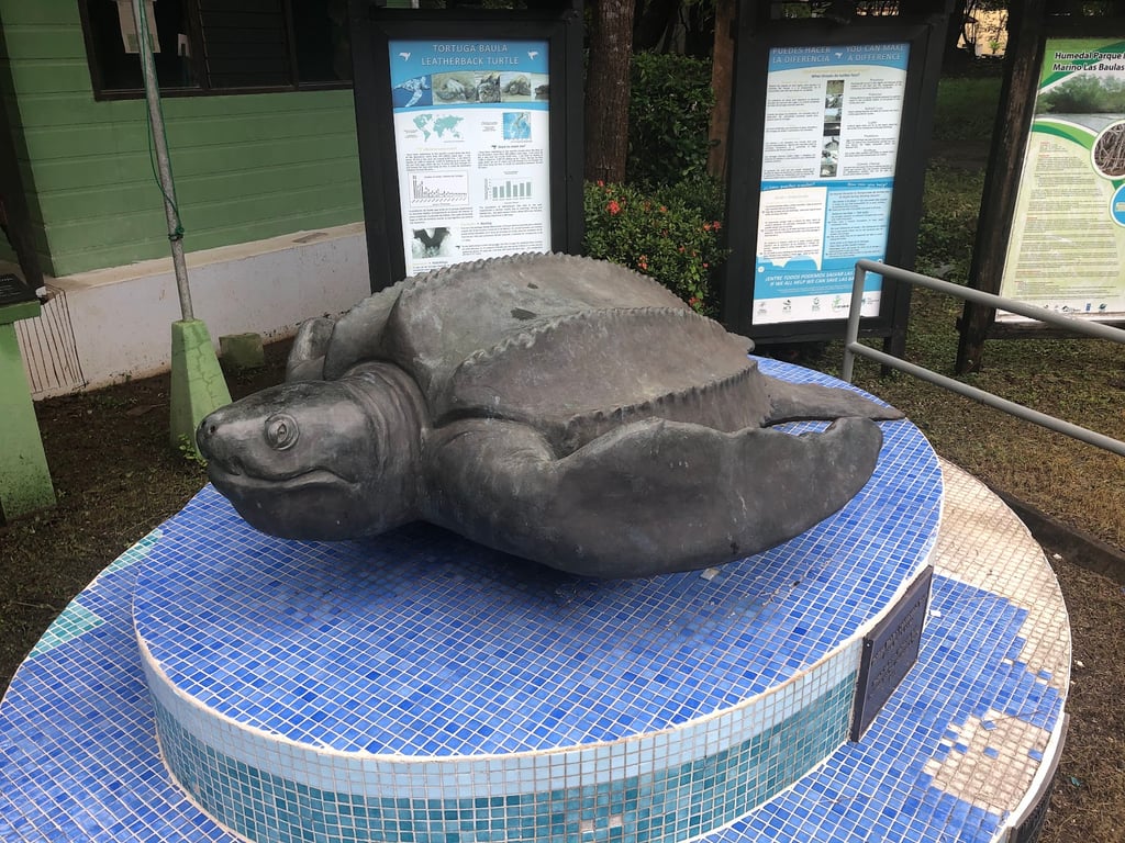 Playa Grande Turtle Spot