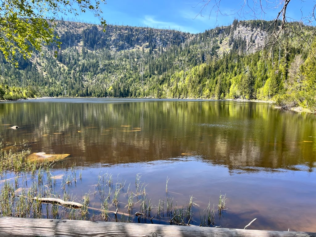 Plesne Lake