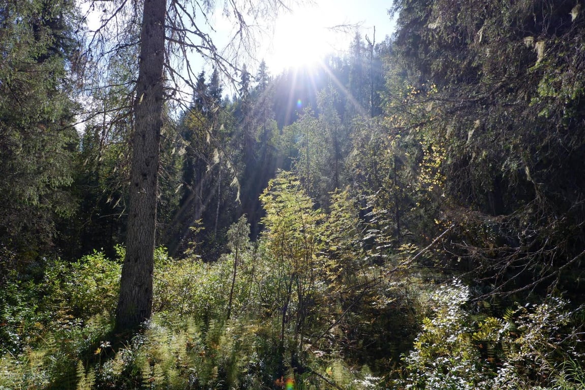 Posio Korouoma Canyon