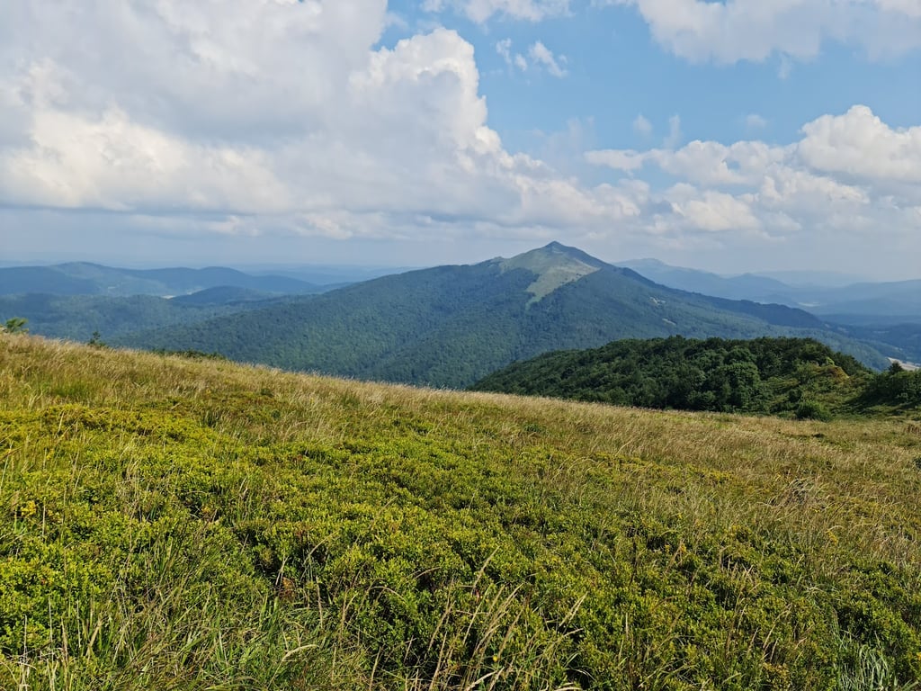 Połonina Wild-Flower Ridges