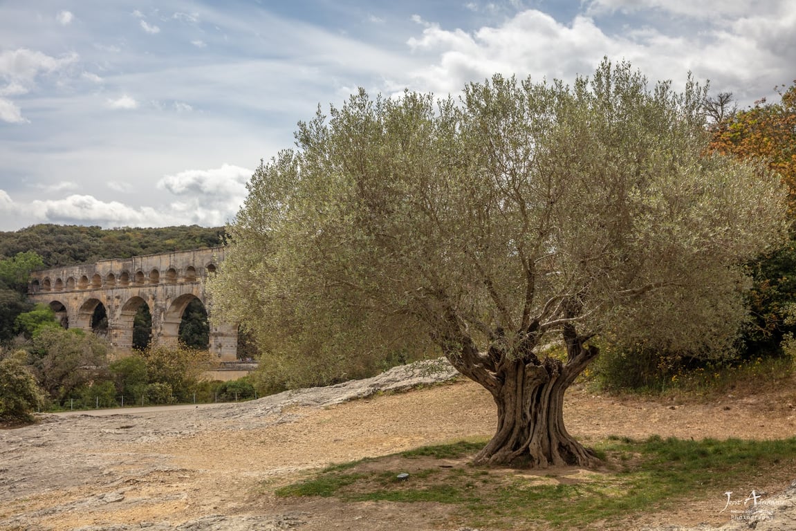 Pont du Gard