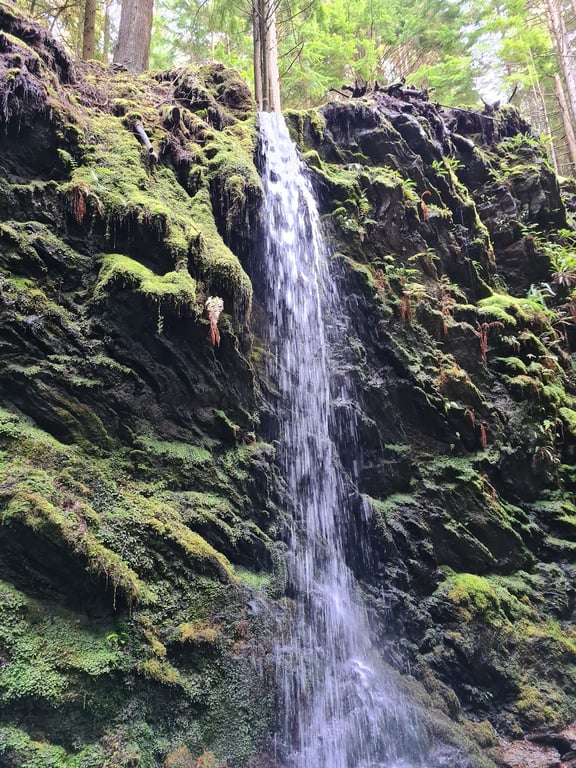 Puck’s Glen Trail