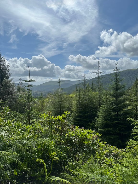 Puck’s Glen Trail