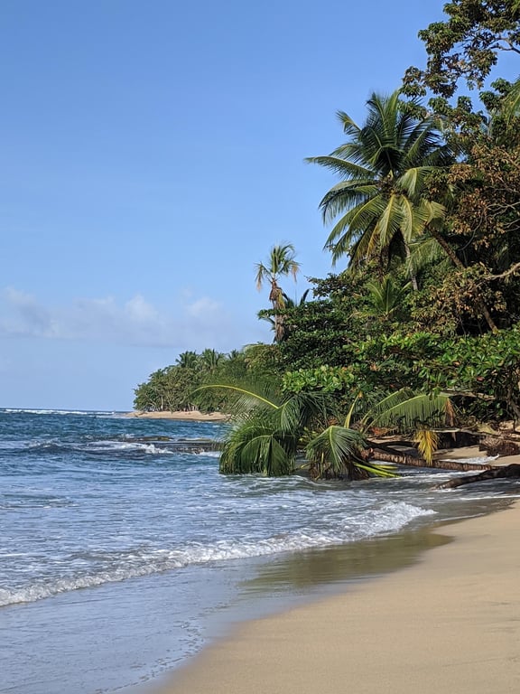 Punta Uva Beach