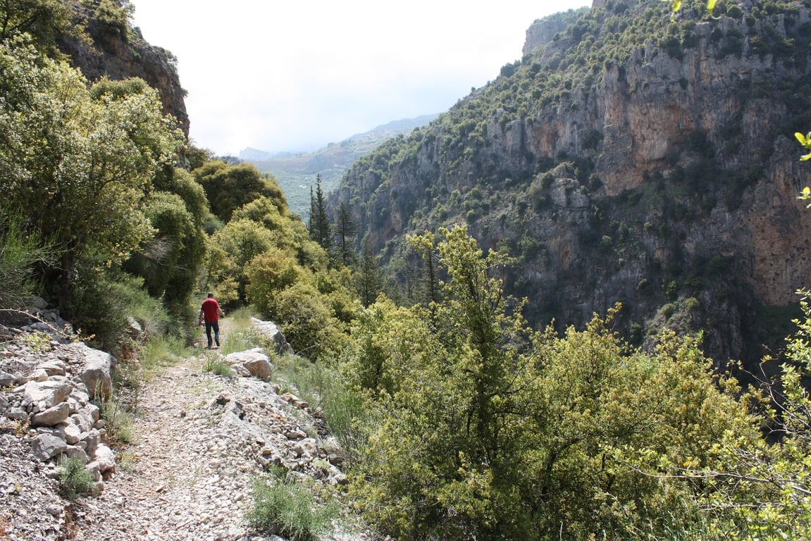Qadisha Valley