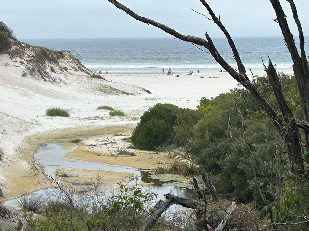Squeaky Beach