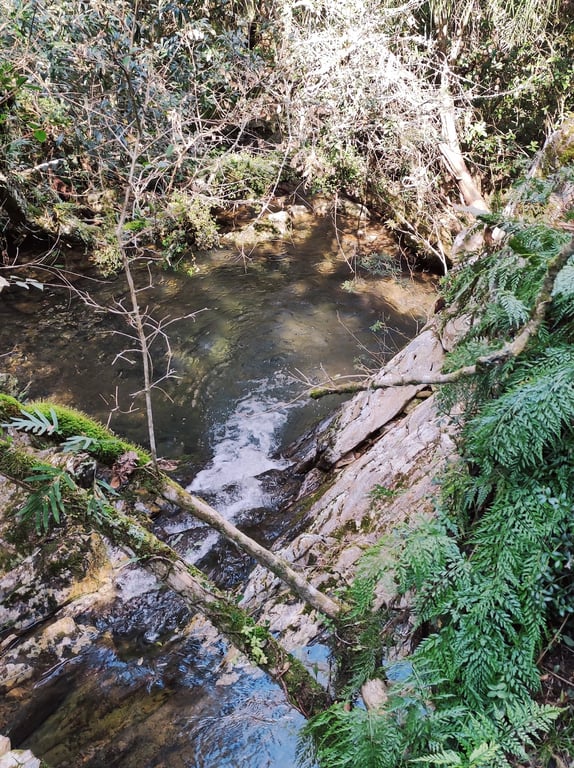 Quebrada de los Cuervos
