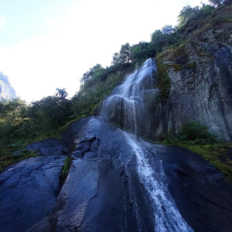 Queulat National Park