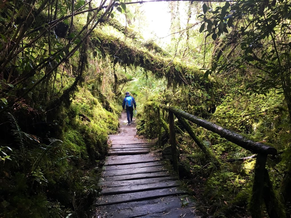 Queulat National Park