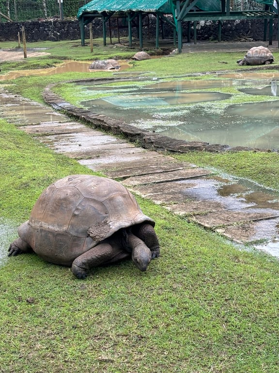 SSR Botanical Garden
