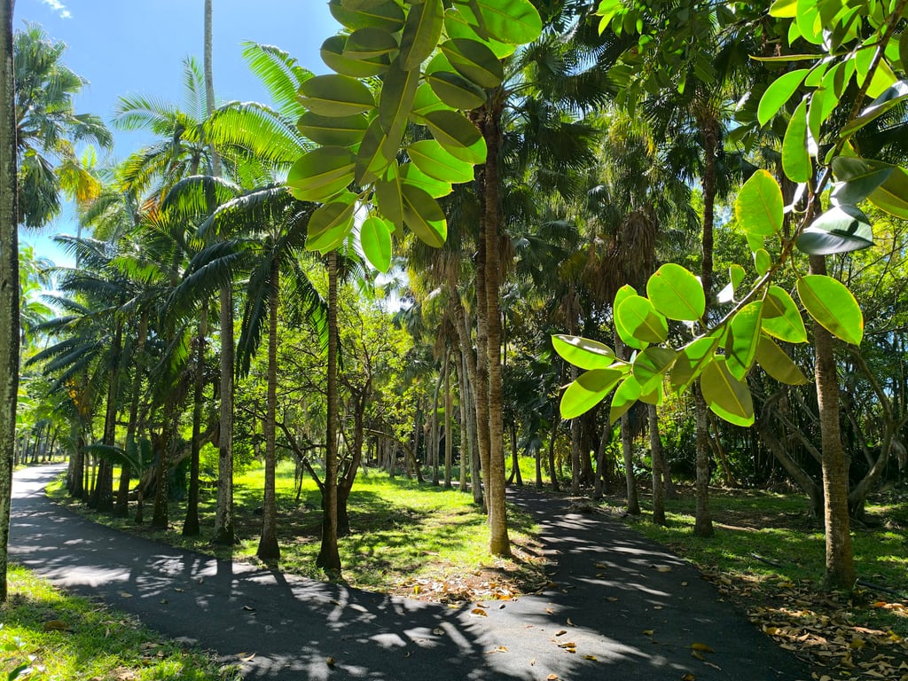 SSR Botanical Garden