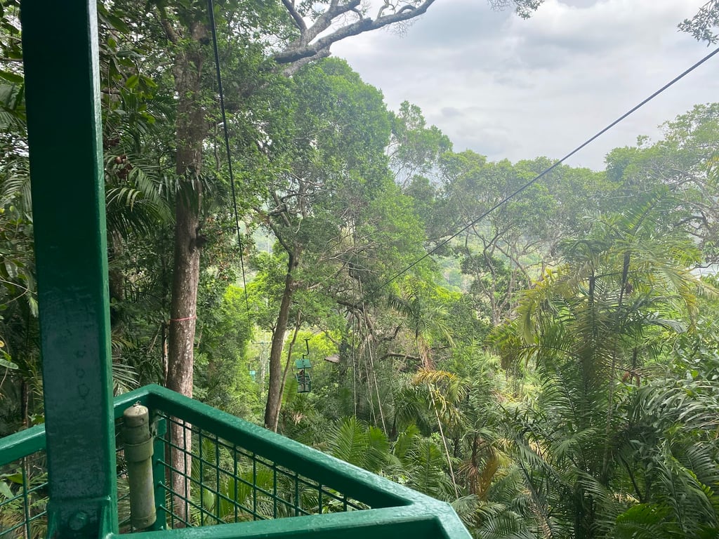 Rainforest Discovery Center