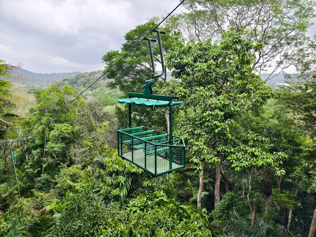 Rainforest Discovery Center