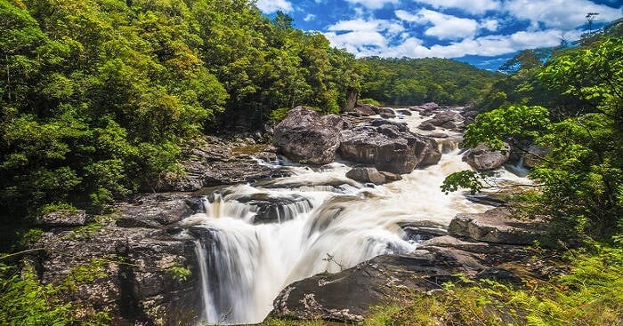 Ranomafana National Park