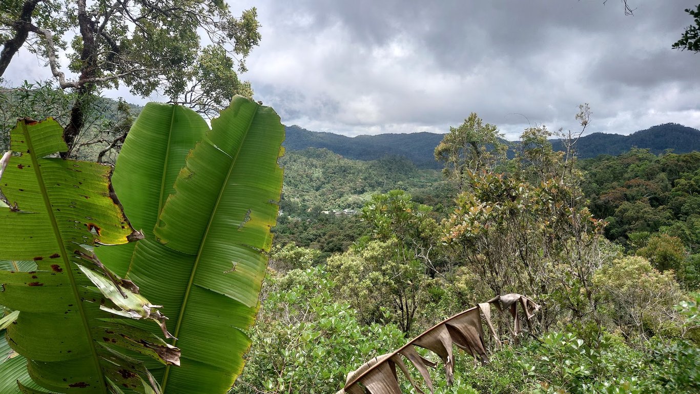 Ranomafana National Park