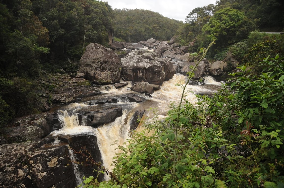 Ranomafana National Park