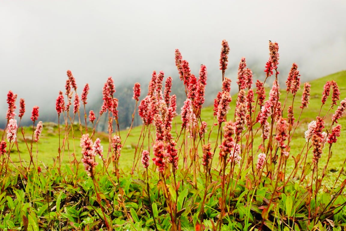 Ratti Gali Lake