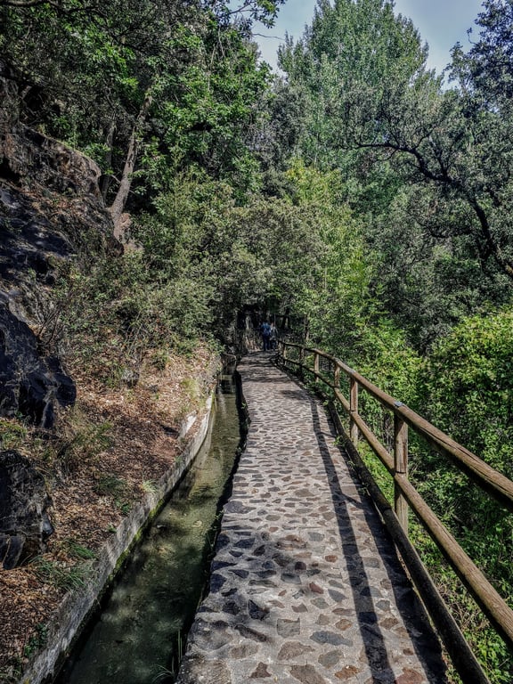 Rec del Solà Trail