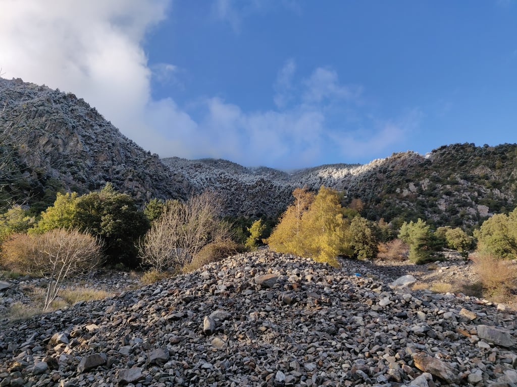 Rec del Solà Trail