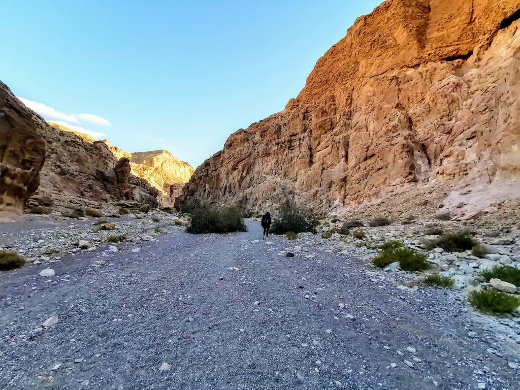 Red Canyon
