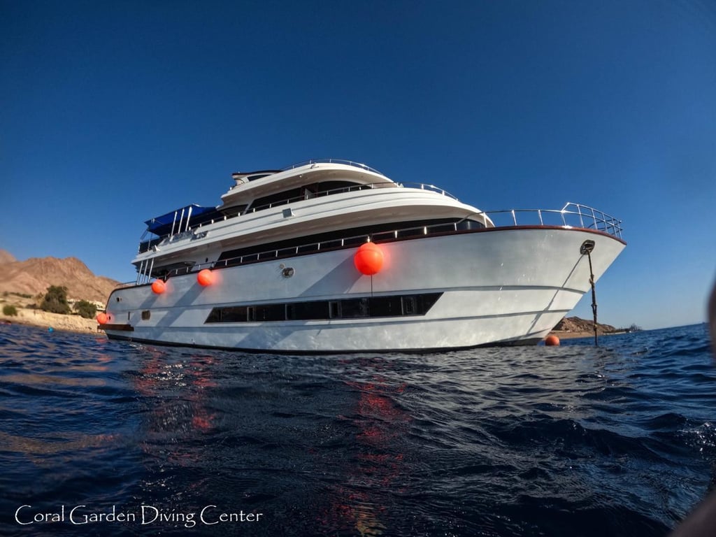 Red Sea Coral Reefs