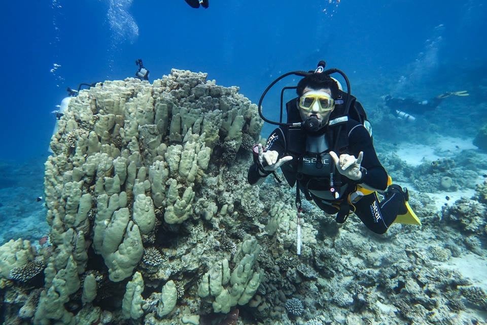 Red Sea Coral Reefs