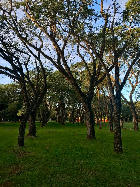 Refugio Tati Yupi Reserve