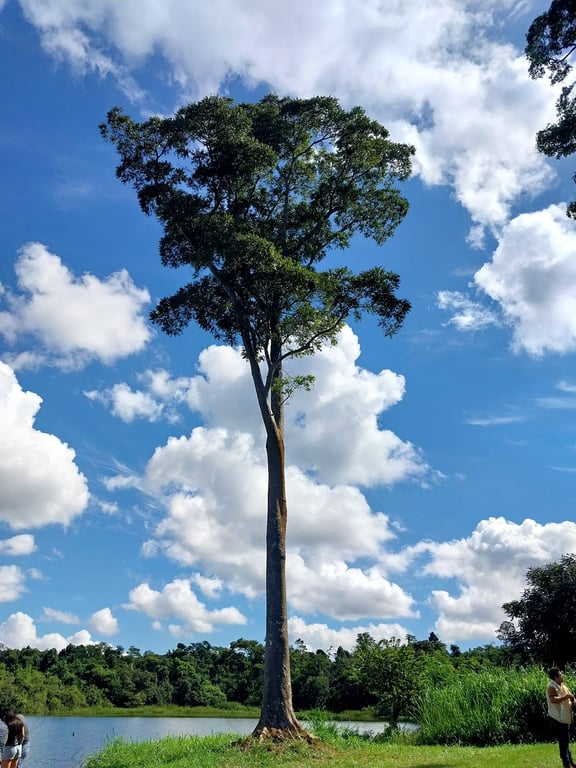 Refugio Tati Yupi Reserve