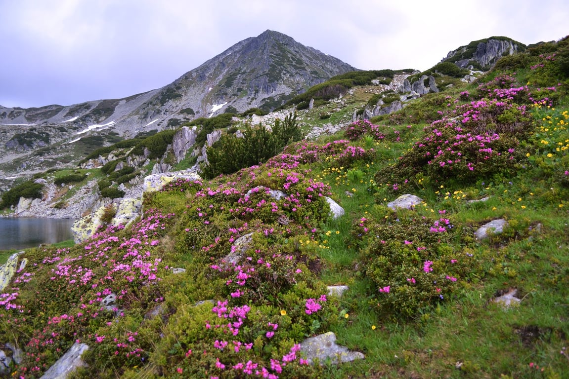 Retezat National Park