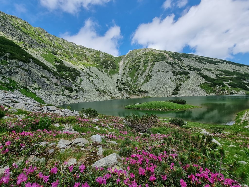 Retezat National Park