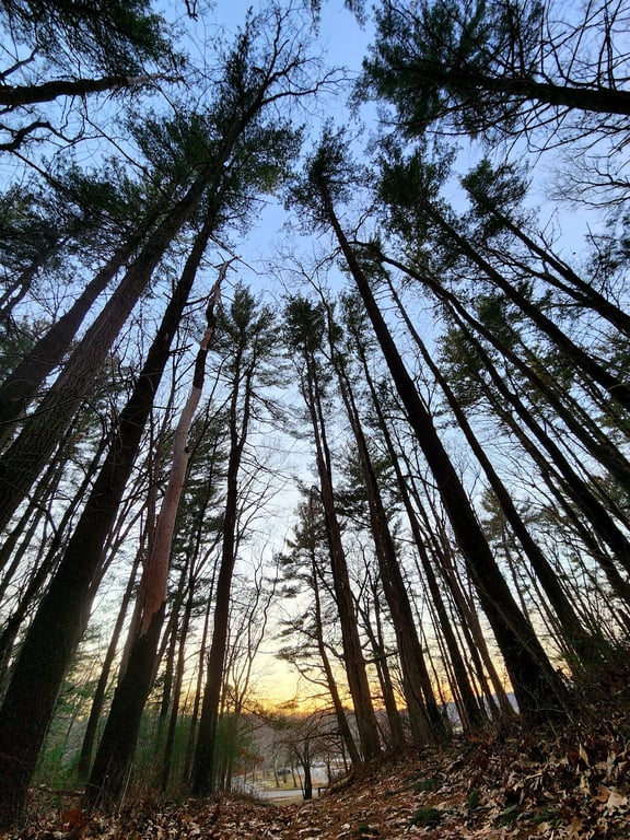 Goddard Memorial State Park