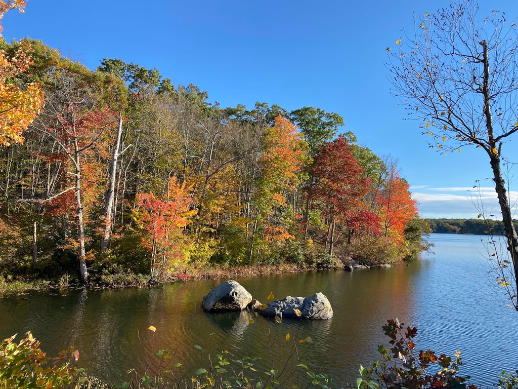 Lincoln Woods State Park