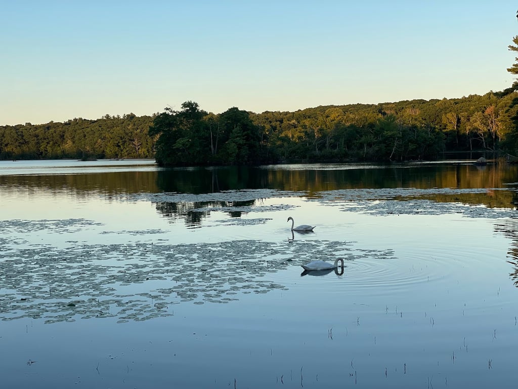 Lincoln Woods State Park